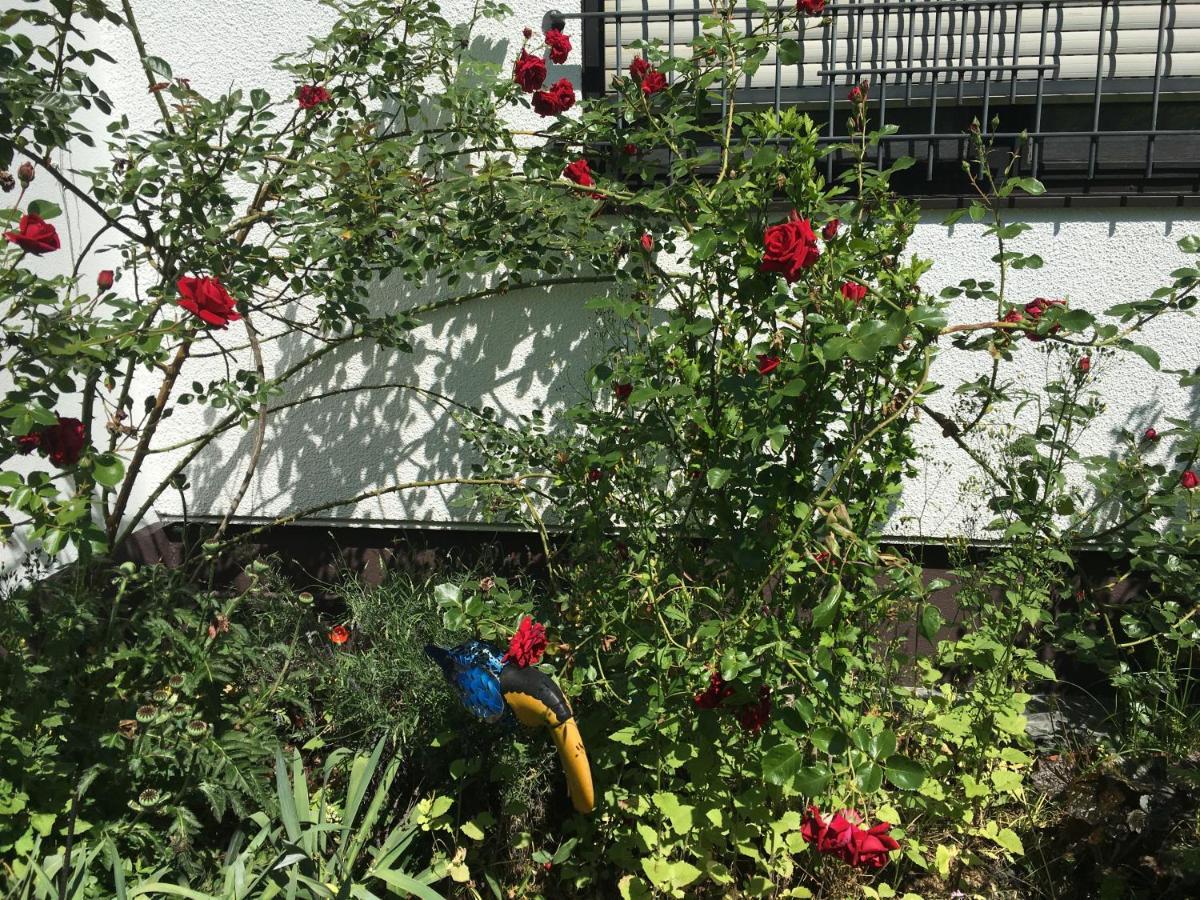 Vor Den Toren Bambergs - Einfamilienhaus Mit Garten! Viereth-Trunstadt エクステリア 写真